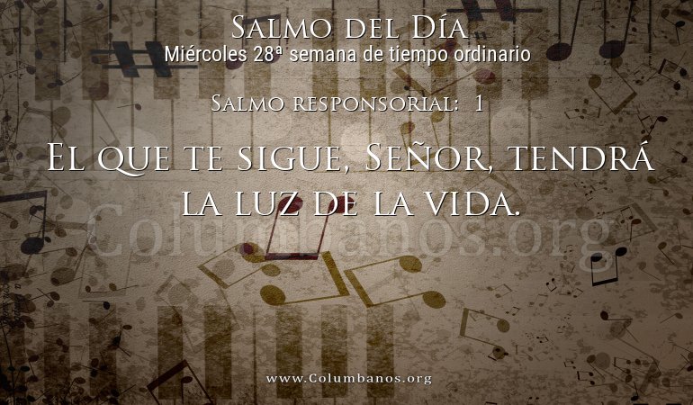 Salmo responsorial:  1