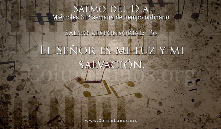 Salmo responsorial:  26